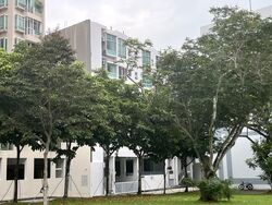 Mackenzie 88 (D9), Apartment #577792251